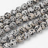 Natural Dalmatian Jasper Bead Strands G-G735-68F-12mm-1