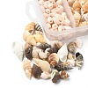 5 Styles Mixed Natural Shell Beads SSHEL-YW0001-04-2