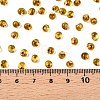 6/0 Baking Paint Transparent Fringe Glass Seed Beads SEED-N006-06C-4