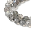 Natural Labradorite Beads Strands G-H336-A08-05-4