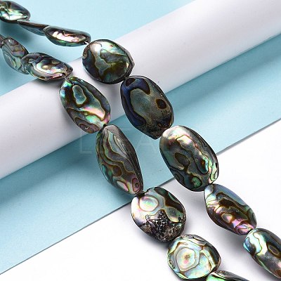 Natural Abalone Shell/Paua Shell Beads SSHEL-E379-1-1