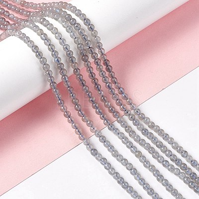 Natural Labradorite Beads Strands G-G933-02-1