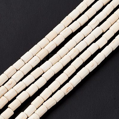 Synthetic Turquoise Beads Strands TURQ-G120-4x6mm-12-1