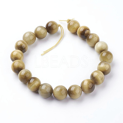 Natural Gold Tiger Eye Beads Strands G-C076-10mm-1AA-1