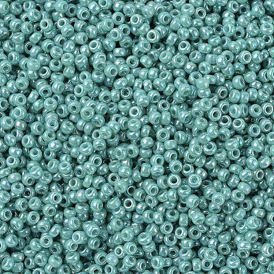 MIYUKI Round Rocailles Beads SEED-G007-RR0481-1