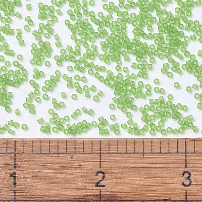 MIYUKI Delica Beads X-SEED-J020-DB1266-1