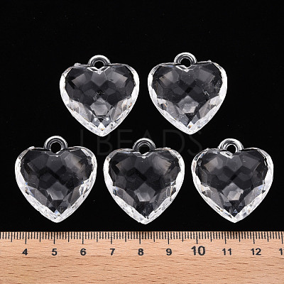 Transparent Acrylic Pendants TACR-T024-03B-205-1