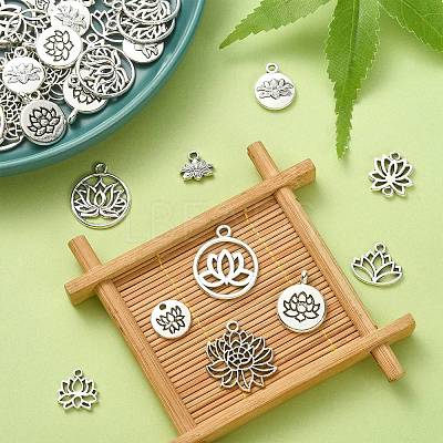 100Pcs 10 Styles Tibetan Style Alloy Charms TIBEP-CJ0002-34-1
