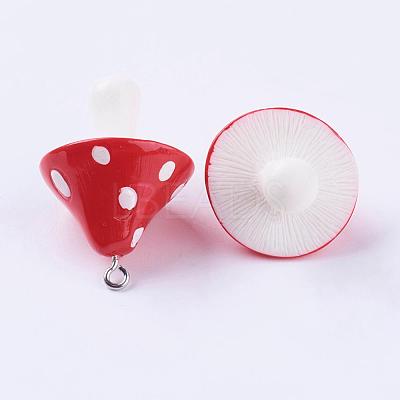 Resin Pendants RESI-S295-02-1