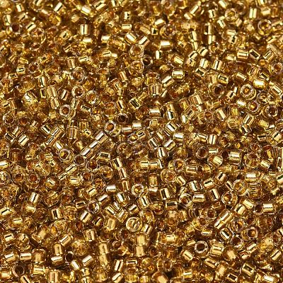 MIYUKI Delica Beads SEED-X0054-DB2525-1