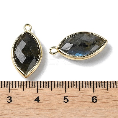 Natural Labradorite Pendants X-G-B009-01G-R-1