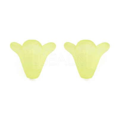 Frosted Acrylic Beads PL692-14-1