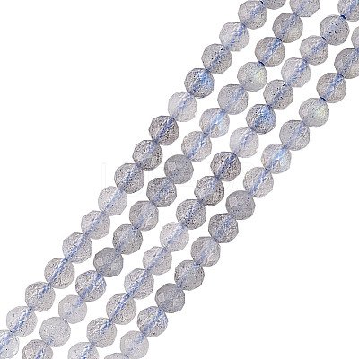 2 Strands Natural Labradorite Beads Strands G-GO0001-65-1