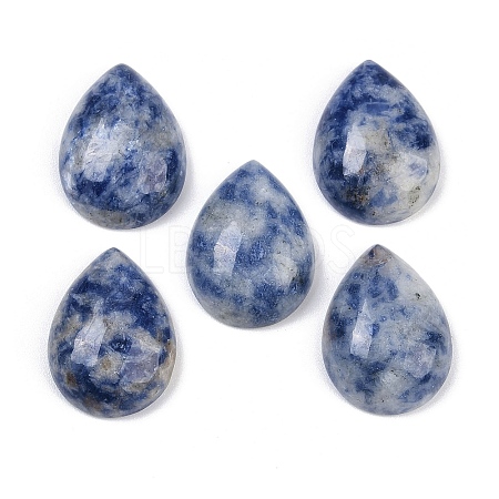Natural Blue Spot Jasper Cabochons G-H094-01A-22-1