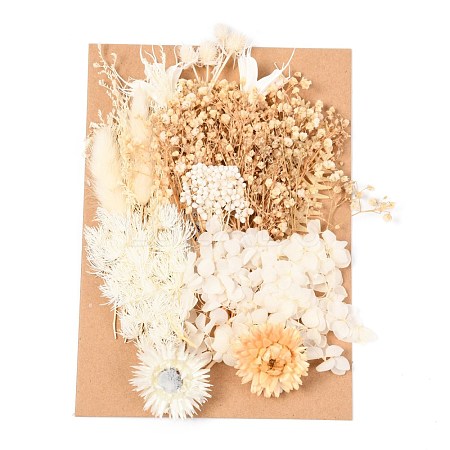 Dried Flower DIY-B018-02-1