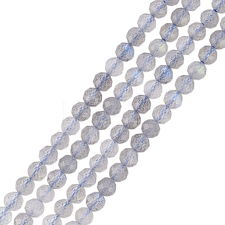 2 Strands Natural Labradorite Beads Strands G-GO0001-65-1