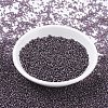 MIYUKI Round Rocailles Beads X-SEED-G007-RR0024-2