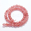 Cherry Quartz Glass Beads Strands G-I199-28-12mm-2