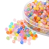 31g Frosted Transparent Acrylic Beads MACR-FS0001-37-4