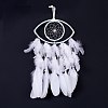 Handmade Eye Woven Net/Web with Feather Wall Hanging Decoration HJEW-K035-01-2
