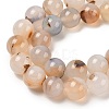 Natural Dendritic Agate Beads Strands G-A248-A07-05-4