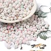 Baking Paint Glass Seed Beads SEED-F006-01A-14-1