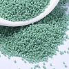 MIYUKI Delica Beads SEED-X0054-DB2125-1