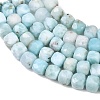 Natural Larimar Beads Strands G-F803-C01-01A-4