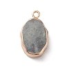 Natural Labradorite Pendants G-K333-01L-3