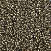 TOHO Round Seed Beads X-SEED-TR11-0993-2