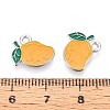 Fruit Alloy Enamel Charms PALLOY-S058-01P-29-3