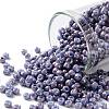 TOHO 8/0 Round Beads SEED-TR08-1204-1