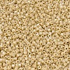 MIYUKI Delica Beads SEED-X0054-DB1571-3