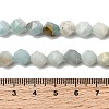Natural Flower Amazonite Beads Strands G-Z119-A08-02-6