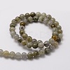 Natural Larvikite Round Beads Strands X-G-E329-10mm-48-2