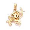 Ion Plating(IP) 304 Stainless Steel Pendants STAS-D165-14G-02-2