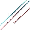 Segment Dyed Polyester Thread NWIR-I013-D-24-3