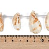 Natural Shell Beads Strands SHEL-K009-12-4