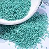 MIYUKI Delica Beads SEED-X0054-DB0166-1