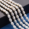 Natural Cultured Freshwater Pearl Beads Strands X-PEAR-S012-41D-5