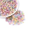FGB Frosted Transparent Glass Seed Beads SEED-N013-05A-1