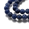 Natural Sodalite Round Beads Strands G-E329-8mm-39-4