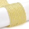 Transparent Glass Beads Strands GLAA-H021-03-04-1