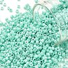 Cylinder Seed Beads SEED-H001-H07-1