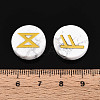 Brass Elder Futhark Alphabet Engraved Symbol Flat Round Natural Howlite Rune Stones G-I373-01F-4