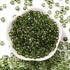3/0 Baking Paint Transparent Colours Glass Round Beads SEED-L011-13A-06-2