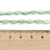 Natural Freshwater Shell Beads Strands SHEL-C010-01-5