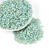 6/0 Glass Seed Beads SEED-N008-07D-1
