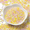 Baking Paint Glass Seed Beads SEED-P006-03A-14-2
