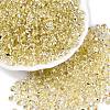 6/0 Baking Paint Transparent Fringe Glass Seed Beads X1-SEED-N006-06B-1